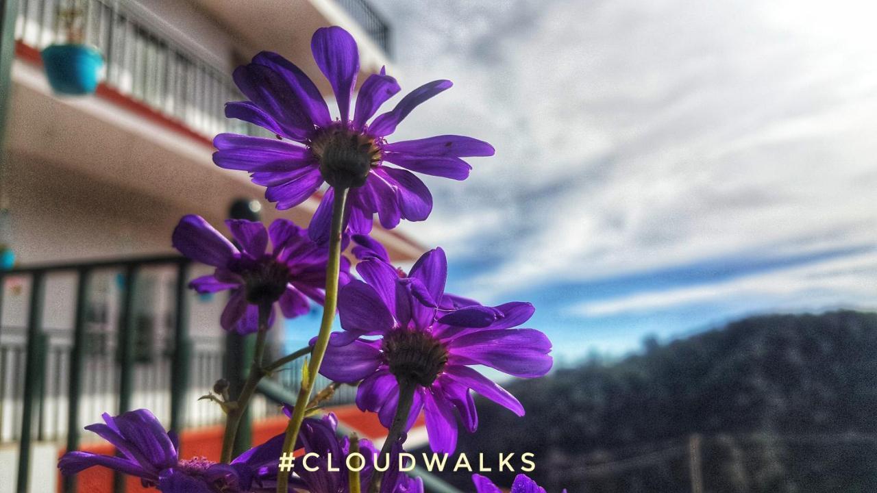 Cloudwalks 科代卡纳尔 外观 照片